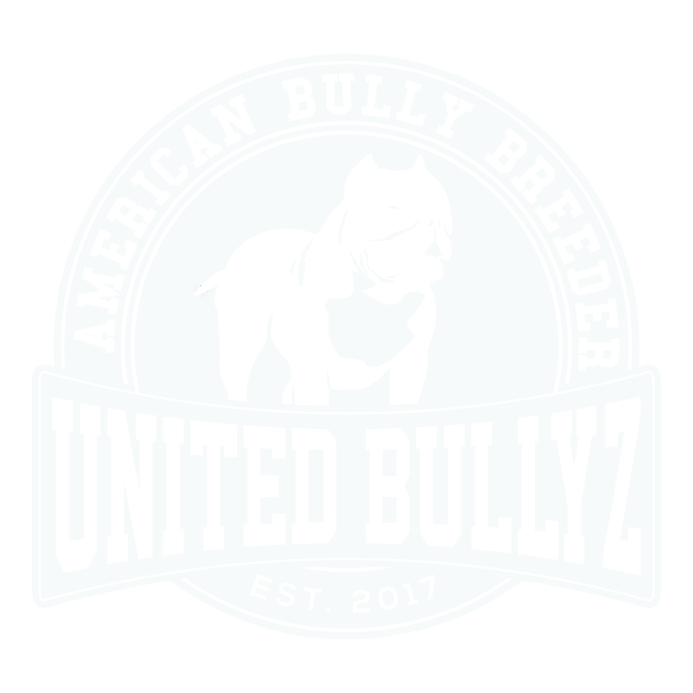 United-Bullyz